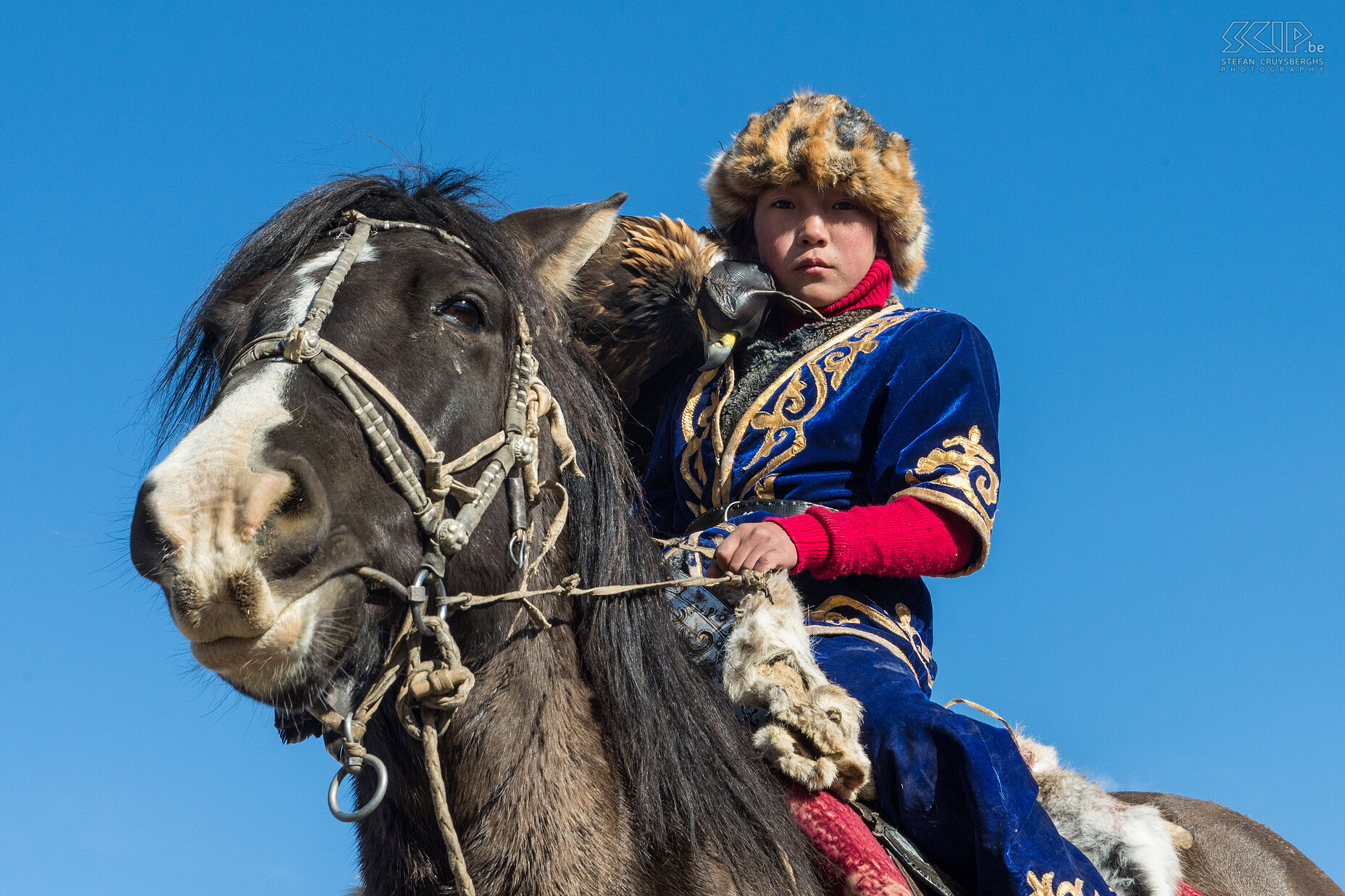 Ulgii - Jonge arendjageres Amanbol Amanbol is slechts 9 jaar oud en zit op haar groot paard en houdt stevig haar zware steenarend vast. Momenteel is zij de jongste arendjageres in Mongolië. Nadien werden we uitgenodigd in hun huis en het was tof om te zien dat Amanbol ook maar een gewoon jong meisje is dat ook naar school moet gaan. Stefan Cruysberghs